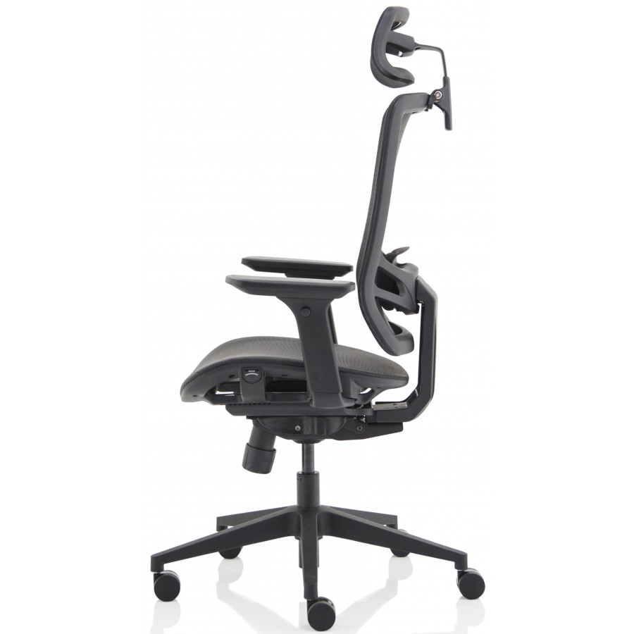 Ergo Twist Ergonomic Mesh Office Chair